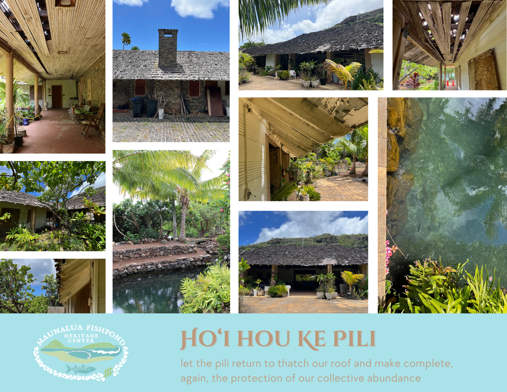 Hoʻi Hou Ke Pili_Auction_6